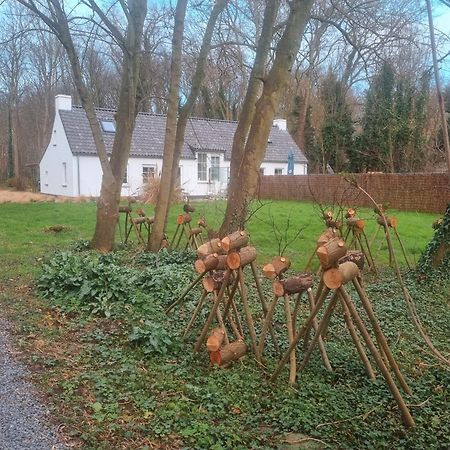 Houtsaegertje Villa De Panne Eksteriør bilde