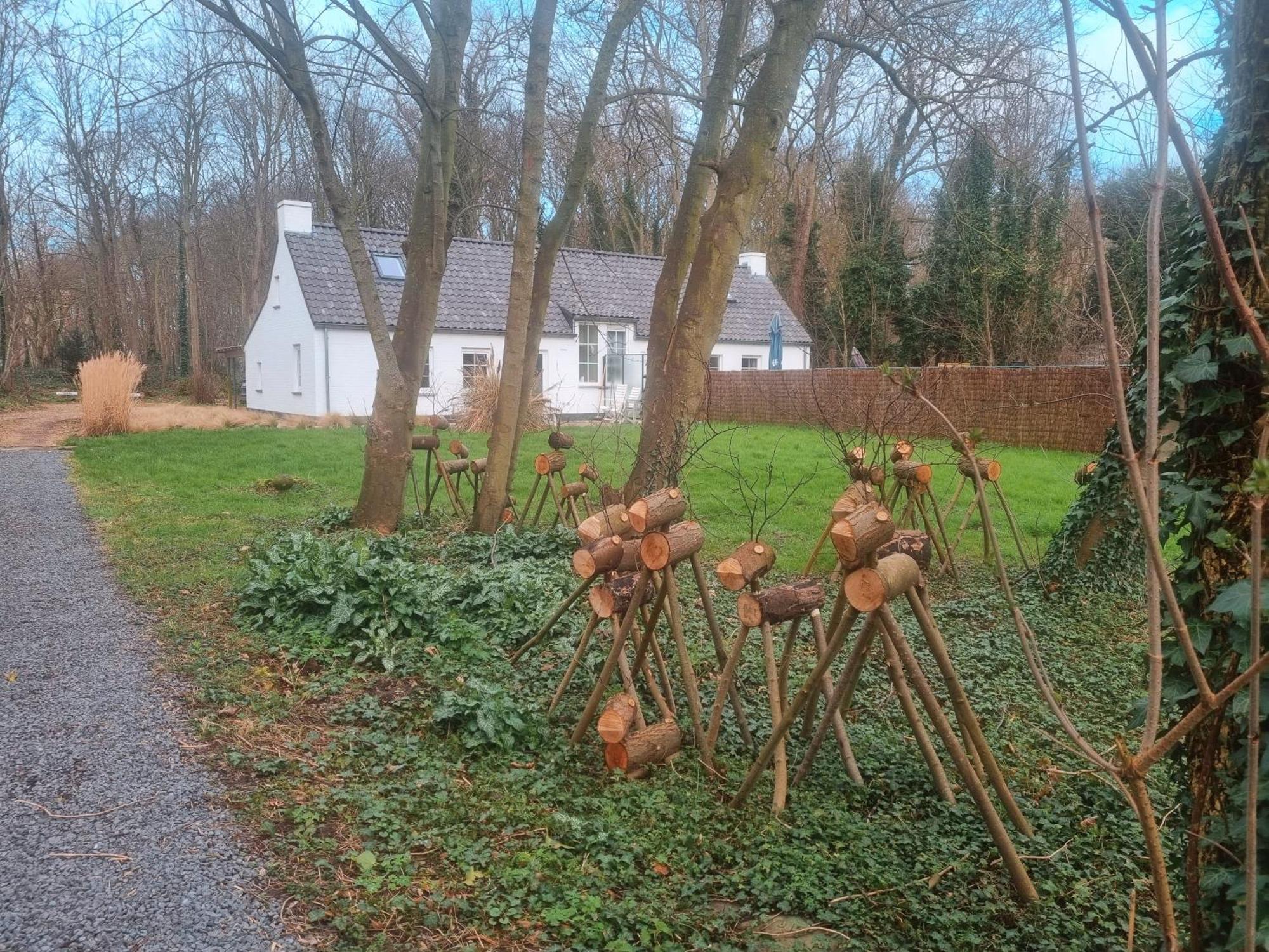 Houtsaegertje Villa De Panne Eksteriør bilde